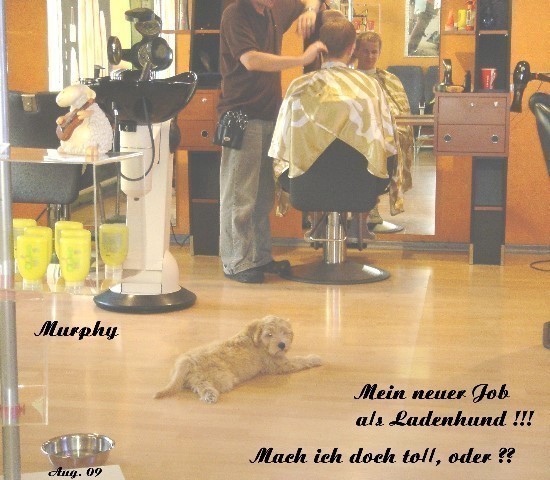 ../Images/Murphy-aug09-07Mein neuer Job als Ladenhund.jpg